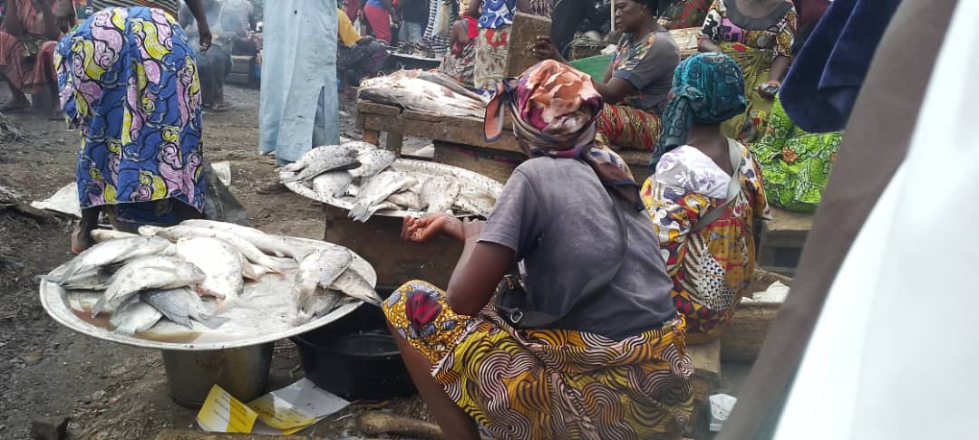 Tchad : à N'Djamena, les marchés de poisson deviennent impraticables et insalubres en saison de pluie