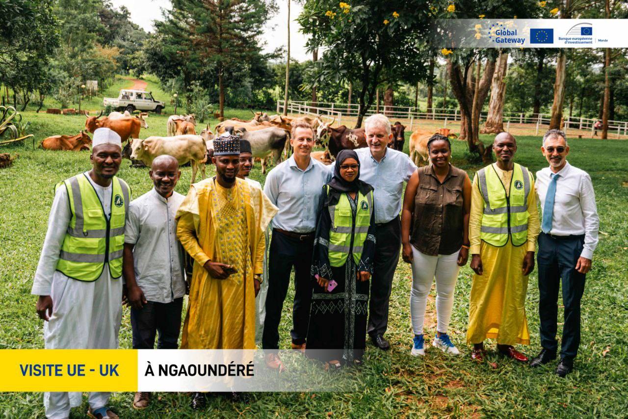Cameroun - Adamaoua : Les ambassadeurs de l'UE et du Royaume-Uni explorent le potentiel de la région