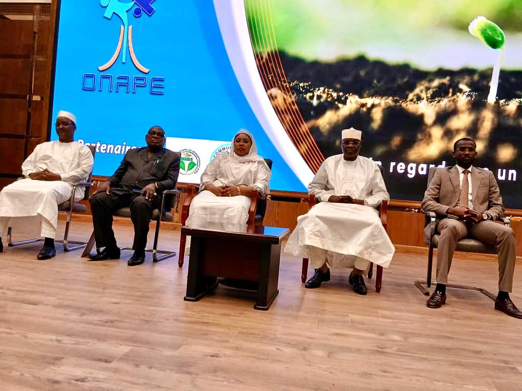 Tchad : Lancement officiel du projet "Jeunesse Emploi-Vert"