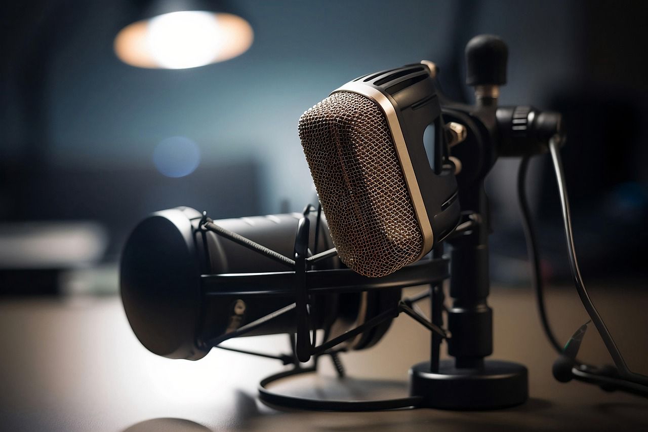 Tchad : Dja FM et la CNDH s’accusent mutuellement après un reportage contesté