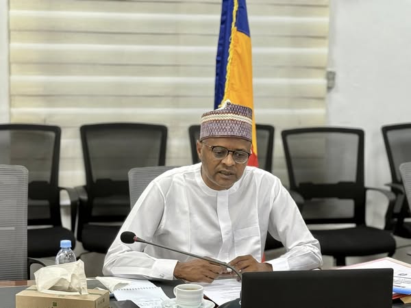 Tchad : table ronde Tchad Connexion 2030, réunion en visioconférence entre le Tchad et les Émirats Arabes Unis