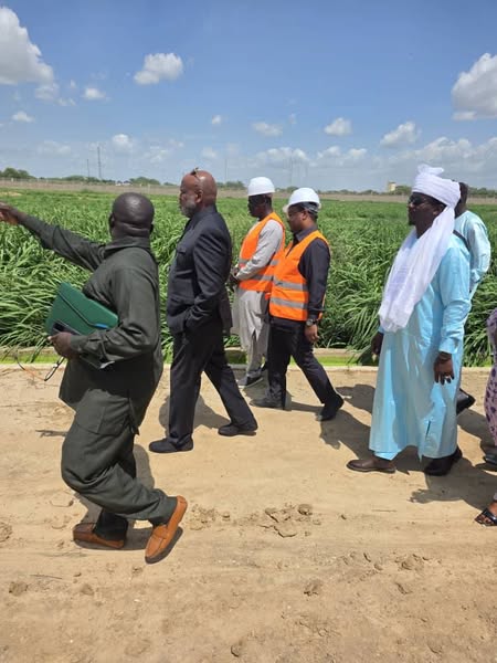 Tchad : Un mois de délai pour la SOPROFIM après une visite ministérielle Tchad : Un mois de délai pour la SOPROFIM après une visite ministérielle