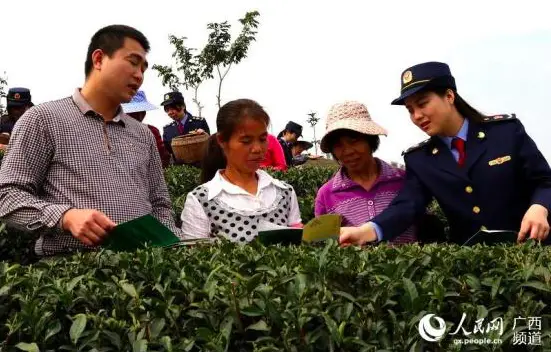 En mars, la ville de Guigang de Guangxi province a procédé à des travaux précis de lutte contre la pauvreté. A cette occasion, des femmes cadres sont organisées aux champs, pour encourager les femmes des familles en difficulté à travailler pour s’enrichir. (Source : people.cn)