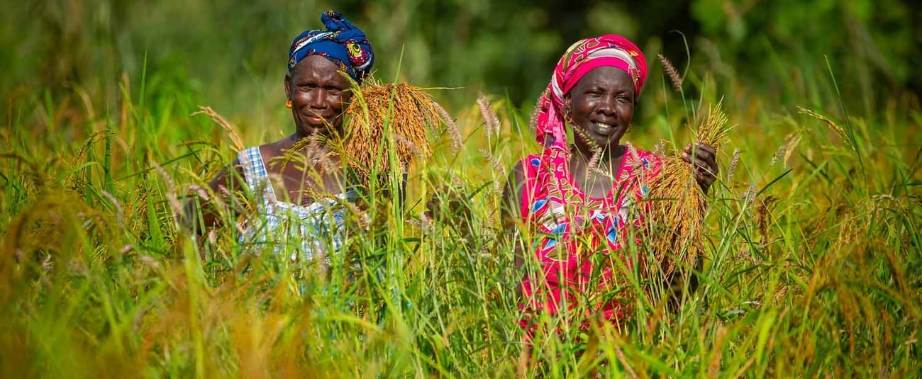 Agriculture et sécurité alimentaire en Afrique : La BAD reçoit une première allocation de 14 millions de dollars Agriculture et sécurité alimentaire en Afrique : La BAD reçoit une première allocation de 14 millions de dollars