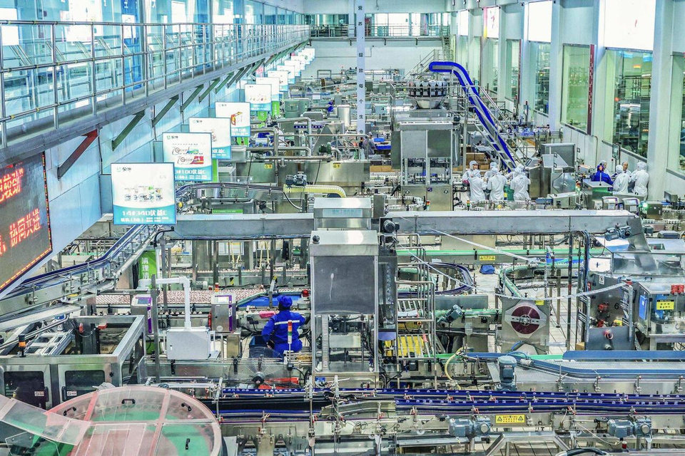 Dairy products are manufactured in a smart workshop of a plant of Mengniu Dairy (Ma'anshan) Co., Ltd. in Ma'anshan, east China's Anhui province. (Photo/Wang Wensheng)