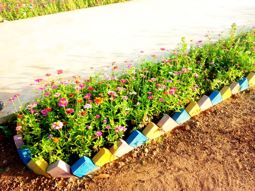 Ronier : la CNPCIC fait de la gestion des déchets un modèle de protection environnementale au Tchad