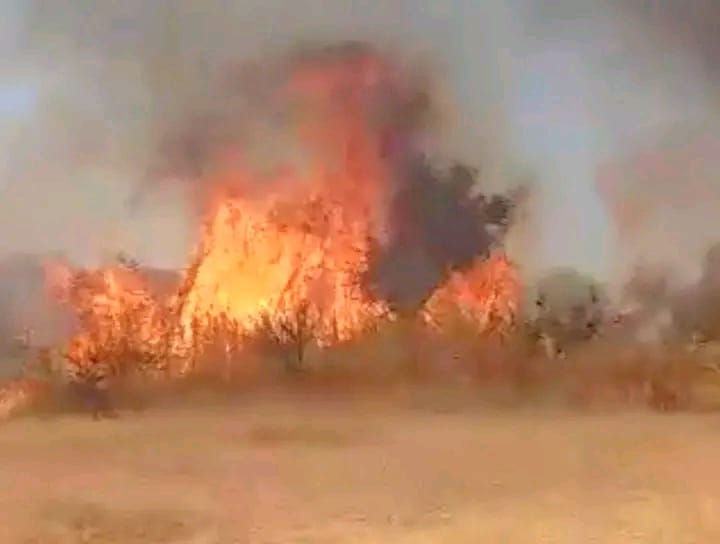 N'Djamena : les cimetières en flammes, l’autre urgence de la capitale