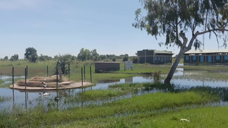 Tchad : à Kinasserom, quand l’eau menace l’éducation d’une génération