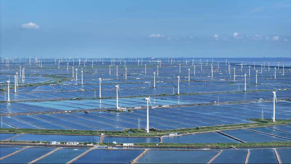 Dafeng district in Yancheng, east China's Jiangsu province, has upheld the principle of prioritizing ecology and pursuing green development. Leveraging its coastal wind resources, the district has developed the wind power industry in line with local conditions, injecting strong green momentum into its high-quality economic and social development. (Photo/Liu Chenglong)