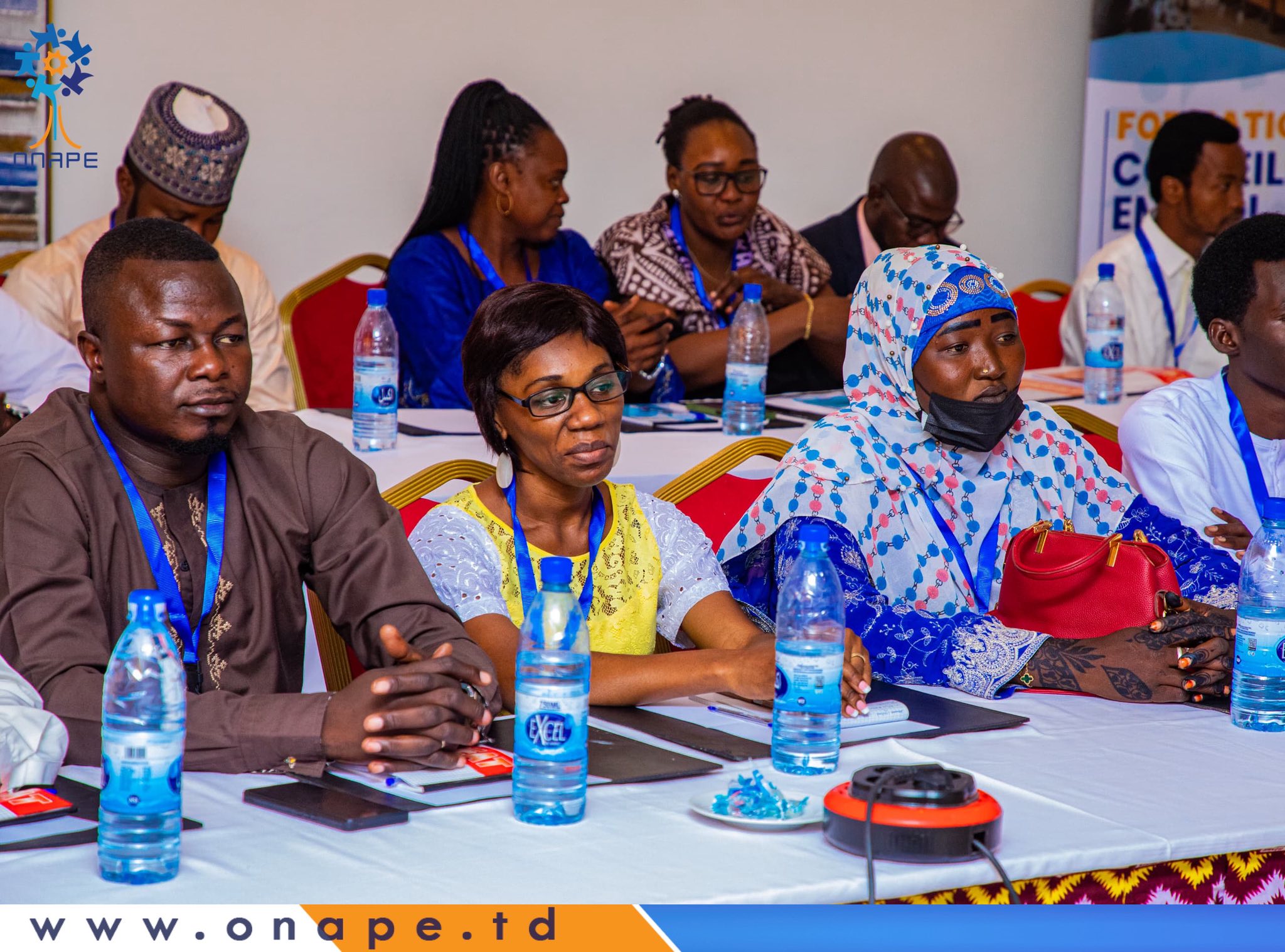 Tchad : session de formation des conseillers emploi des SPE membres de l’AASEP