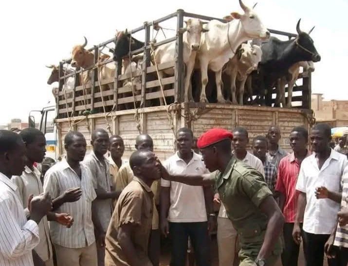 Cameroun : Les origines profondes de la crise des camionneurs et la rupture de confiance