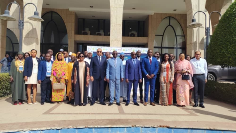 Tchad : ouverture de l'atelier sous-régional sur la cartographie des infrastructures de fibre optique