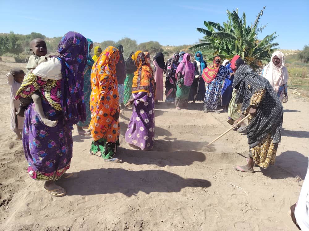 Tchad : l’ANADER renforce les capacités des producteurs à N’Tiona