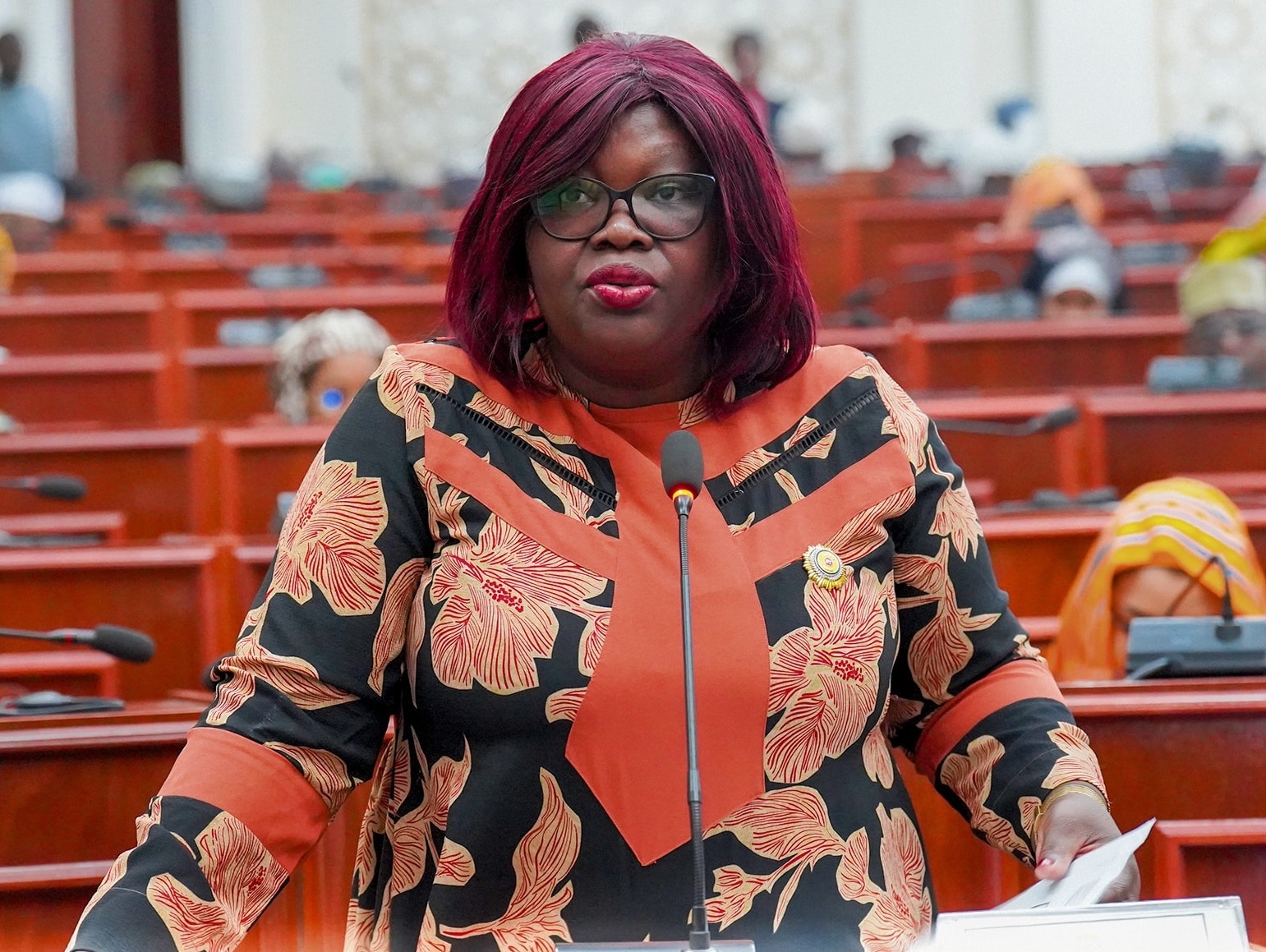 Tchad : l’Assemblée nationale adopte le projet de loi d’habilitation du gouvernement