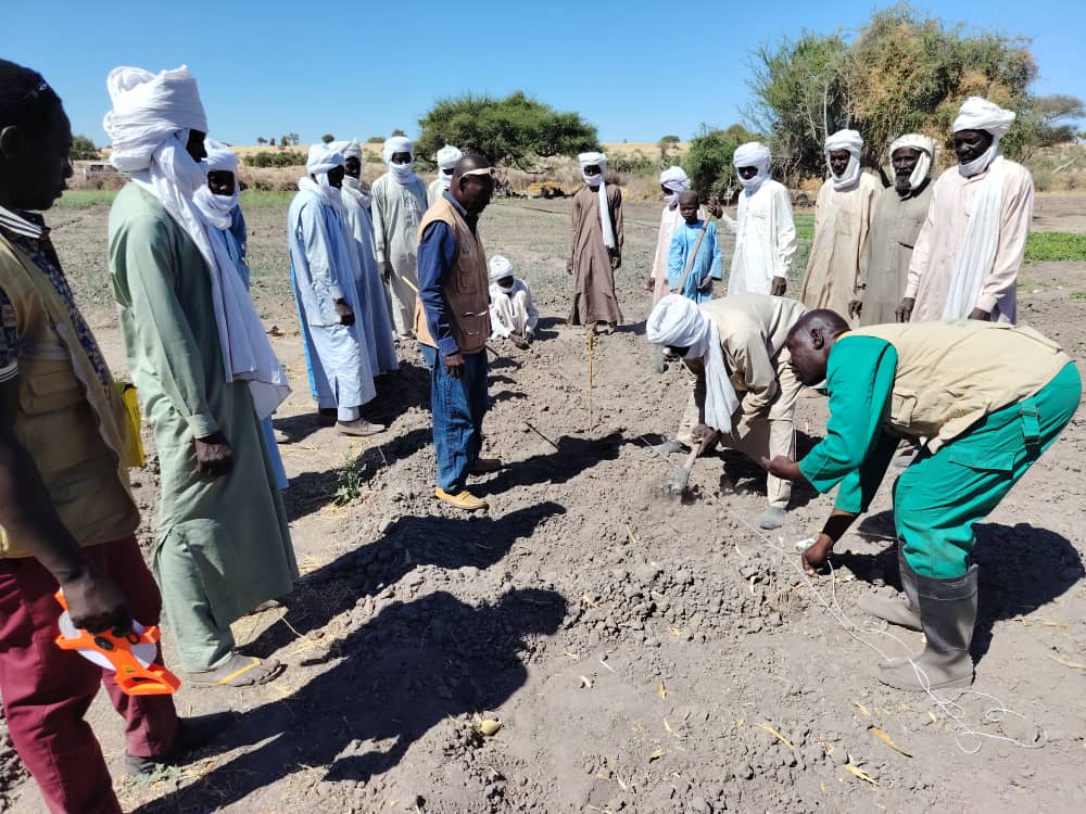 Tchad : renforcement des capacités des producteurs à Moussoro