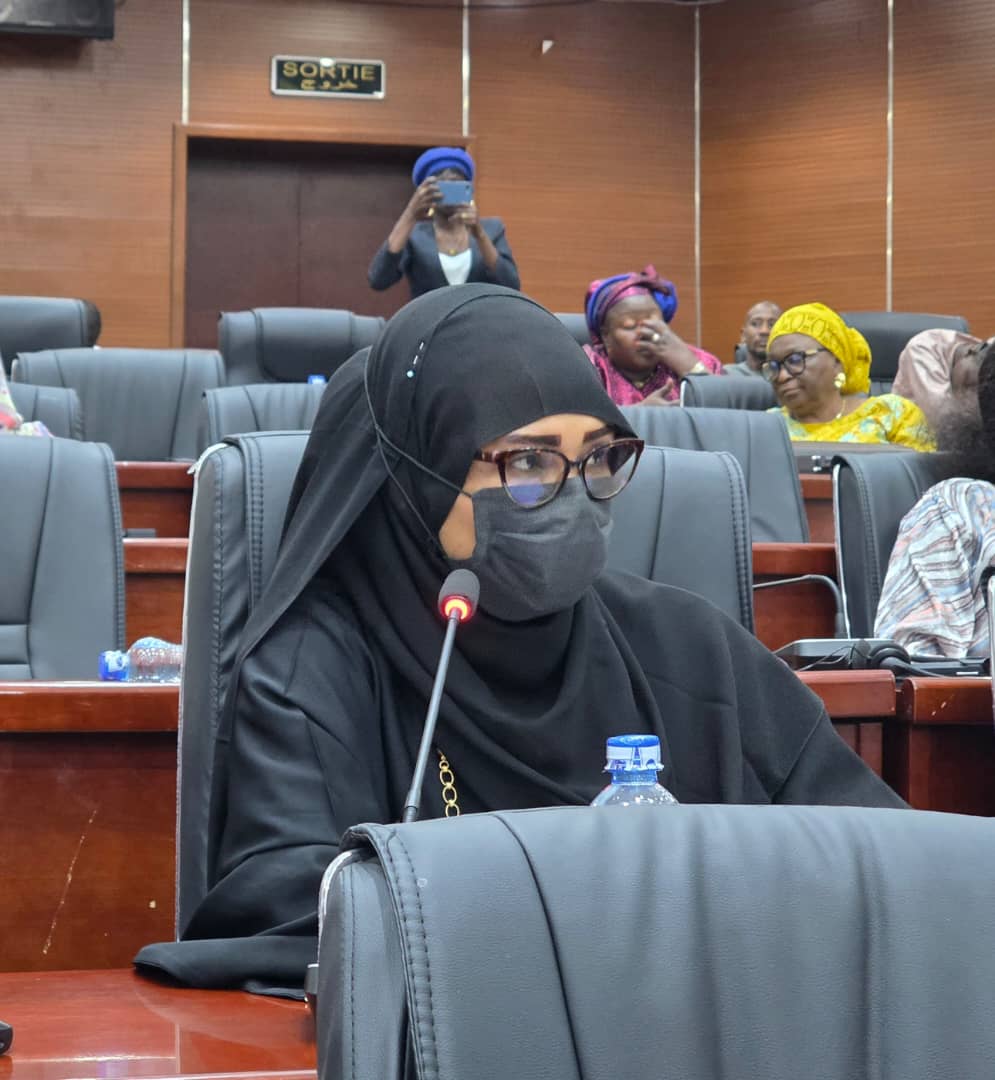 Énergie au Tchad : les sénateurs interpellent le gouvernement sur les coupures d’électricité