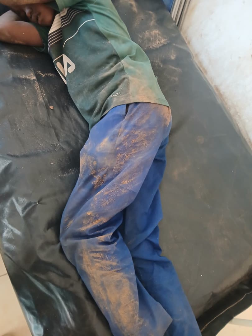 Tchad : Goz-Beïda, le quartier Khadra frappé par une attaque massive d’abeilles