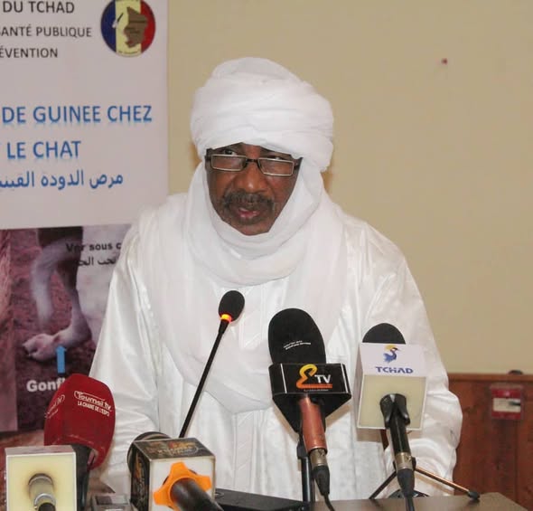 Santé : Le Tchad aux portes de l'éradication historique du Ver de Guinée