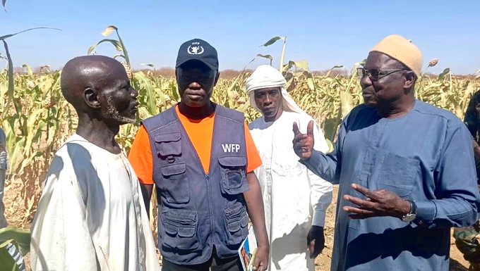 Image : Asma Achahboun