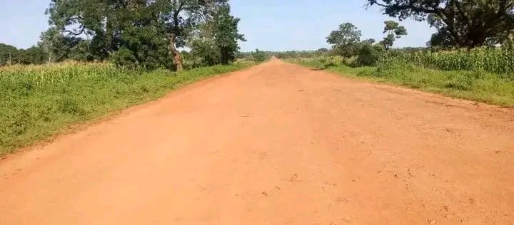 Tchad : insécurité à Ndjikette, un cultivateur tué par des hommes armés