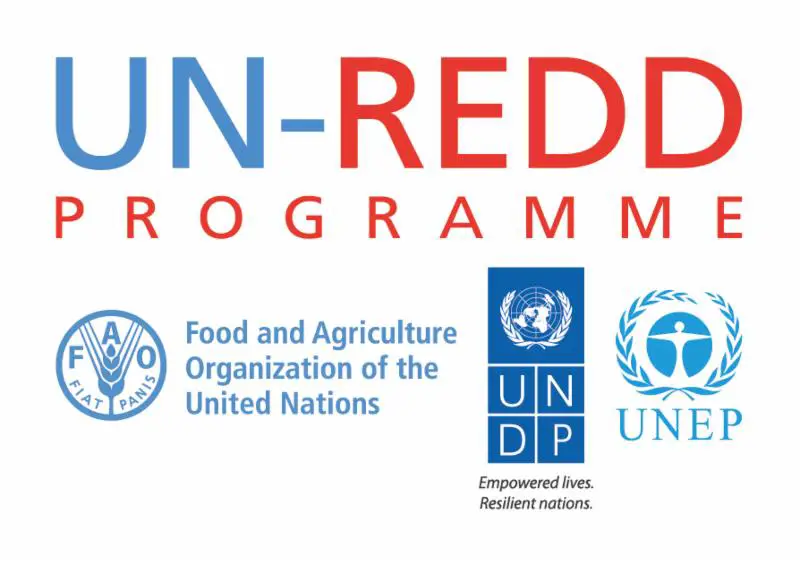 UN-REDD Programme launches upgraded website to reflect 2016-2020 strategic framework and post-Paris Climate Agreement environment