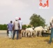 Tchad : "les pratiques rudimentaires de l'élevage ne sont plus adaptées à notre époque"