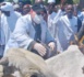Tchad : le programme "Le Goût de la Vie" lancé au Mayo Kebbi Ouest pour renforcer les systèmes alimentaires