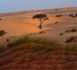 Urgence environnementale au Tchad : Face aux défis des catastrophes naturelles et du changement climatique