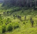 https://www.alwihdainfo.com/RDC-Le-Conseil-Territorial-de-la-Jeunesse-de-Rutshuru-condamne-l-invasion-du-Parc-National-des-Virunga-par-le-M23_a131672.html
