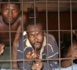 https://www.alwihdainfo.com/Togo-Le-President-Gnassingbe-accorde-la-grace-presidentielle-a-808-detenus_a131864.html