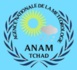 Tchad : amélioration de l’atmosphère au cours de la journée du 29 avril (ANAM)