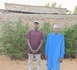Tchad : Gam Robert, cadre du PSF, libéré après huit mois de détention