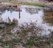 Tchad : La Mairie de Mongo crée un comité de gestion de l'eau de pluie pour prévenir les inondations