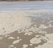 Tchad : à Ati, le fleuve Batha reprend son cours, au bénéfice des riverains