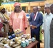 Tchad : Les Femmes du Moyen-Chari se mobilisent pour le développement local avec la fabrication de beurre de karité