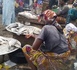 Tchad : Comment nourrir une population de 21 millions d'habitants ?