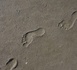 Tchad : il collecte le sable des pas de son oncle pour des pratiques mystiques et se retrouve en prison