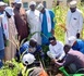 Tchad : Des associations plantent des arbres à Moundou