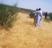 Tchad :  dans le Kanem, feu de brousse hier aux alentours de 15 heures