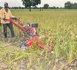 Burkina Faso – Campagne agropastorale 2025-2026 : Le Ministre d’État Ismaël SOMBIÉ assiste à la récolte mécanisée du riz à Karaba Burkina Faso – Campagne agropastorale 2025-2026 : Le Ministre d’État Ismaël SOMBIÉ assiste à la récolte mécanisée du riz à Karaba
