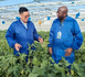 Han Tianfu exchanges experiences with a foreign expert on soybean breeding. (Photo/Li Shengfu)