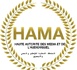 Tchad : La HAMA met en demeure "Réalités Info" pour manquements déontologiques