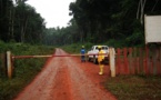 Cameroun:Vers une suspension temporaire des activités de la société forestière Fipcam