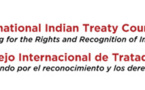 The International Indian Treaty Council (IITC) condemns the use of Deadly Force by Law Enforcement against Standing Rock Water Protectors, calls for additional UN action