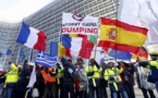 EU should observe WTO rules without reservations: People’s Daily