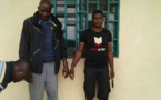 Cameroun/Tibati : deux trafiquants de pangolins aux arrêts