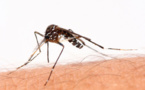 La détermination du Tchad dans la lutte contre le paludisme