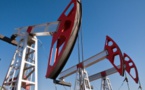 ExxonMobil fine highlights Chadian budget woes and challenges for upstream operators, says GlobalData