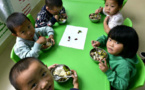 Over 36 million Chinese students benefit from nutrition improvement program