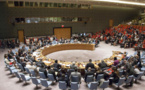 Multilateralism serves as cornerstone of international system: FM